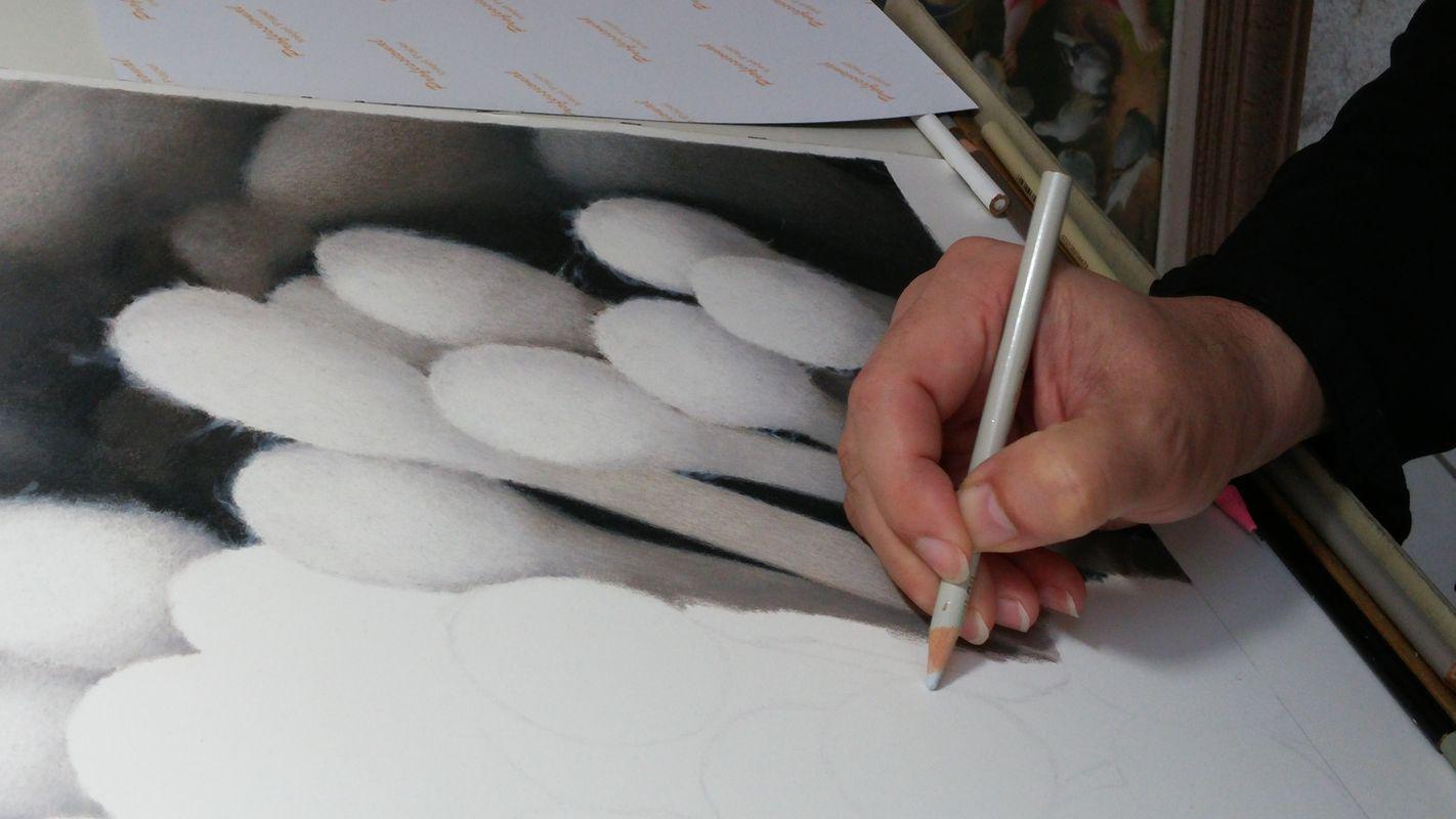 Stamen (in progress 4), colored pencils
