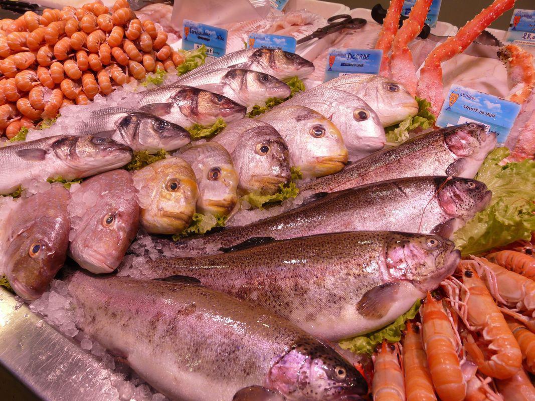Langoustines (staging)