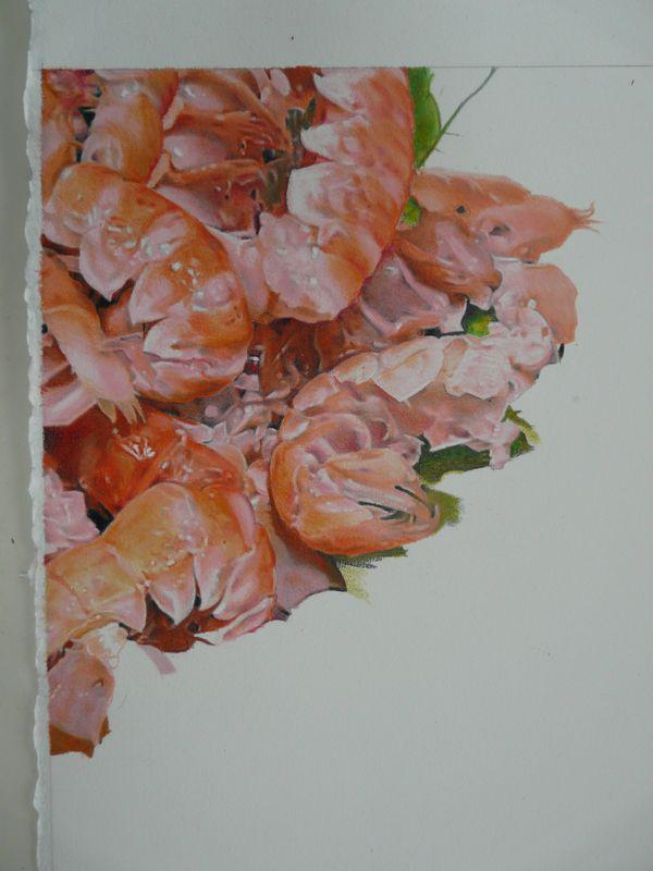 Langoustines (in progress 2), colored pencils