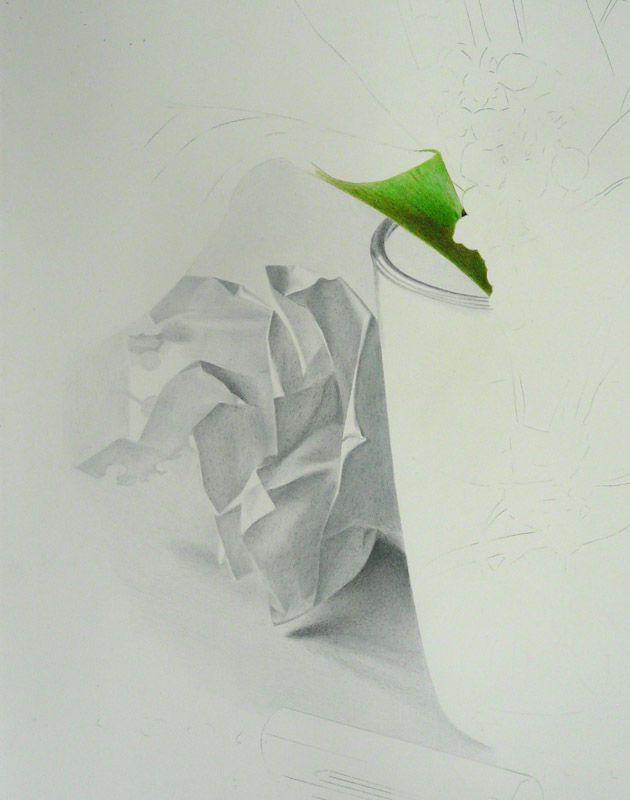 Cup &#38; lily of the valley (in progress 1), colored pencils